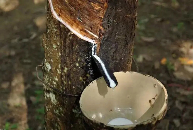 乳膠消泡劑應(yīng)用 乳膠消泡劑應(yīng)用